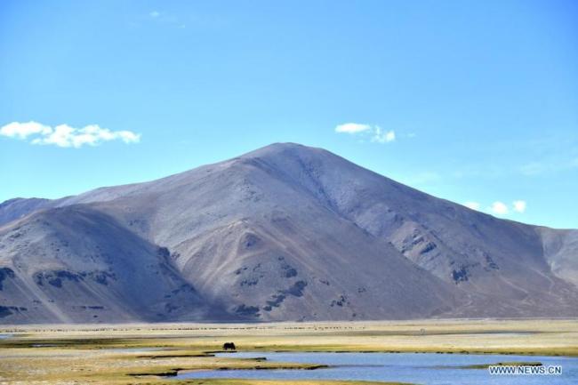 Η φωτογραφία που τραβήχτηκε στις 13 Μαΐου 2021 δείχνει το τοπίο ενός υγρότοπου στην κομητεία Ντινγκτζιέ, στην Αυτόνομη Περιοχή του Θιβέτ της νοτιοδυτικής Κίνας. (φωτογραφία / Xinhua)