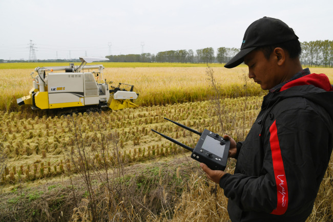 Búzát arat egy földműves a Beidou navigációs műhold által visszaküldött helymeghatározó adatokat felhasználva