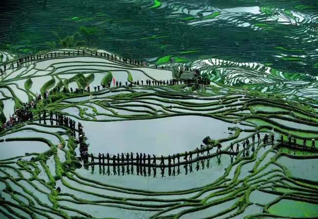 Gyönyörű teraszos rizsföldek a hani nemzeti kisebbség szülőföldjén. Fotó: Yann Layma