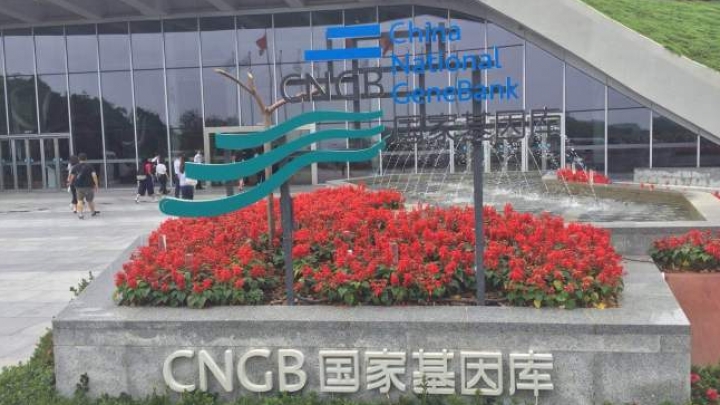 Conheça o “Banco da Vida” em Shenzhen, maior banco de genes do mundo
