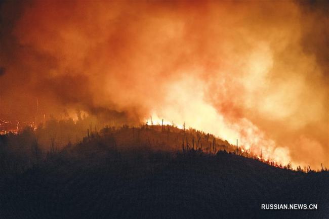 Армения направила спасателей для тушения лесного пожара в Грузии