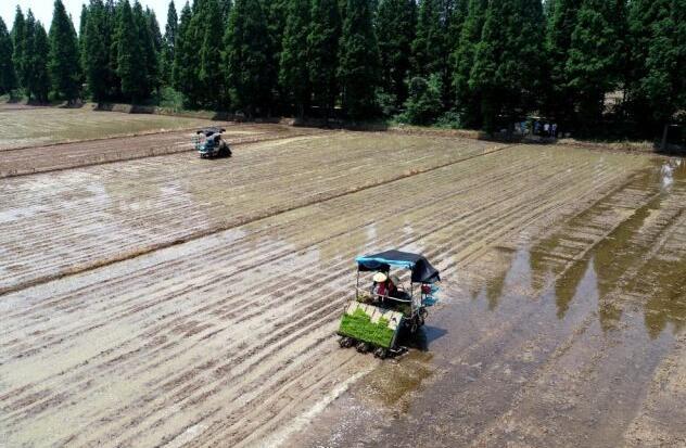 Механизация сельскохозяйственного производства в уезде  Цюаньцзяо провинции Аньхой