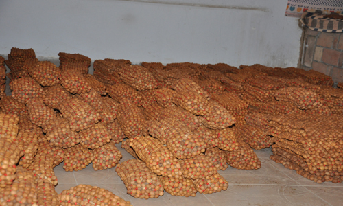 Сельчане, проживающие у подножья горы Кундун, занимаются производством изделий и переработкой косточек горного персика
