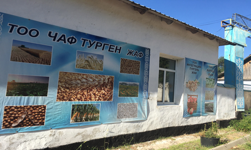 Китайско-казахстанское сотрудничество в сфере сельского хозяйства успешно развивается
