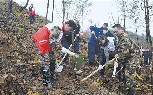 В провинции Гуйчжоу прошла массовая посадка деревьев  