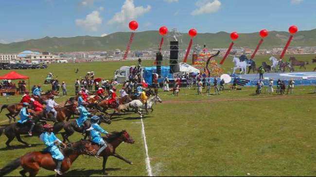 Монгольская борьба в августе