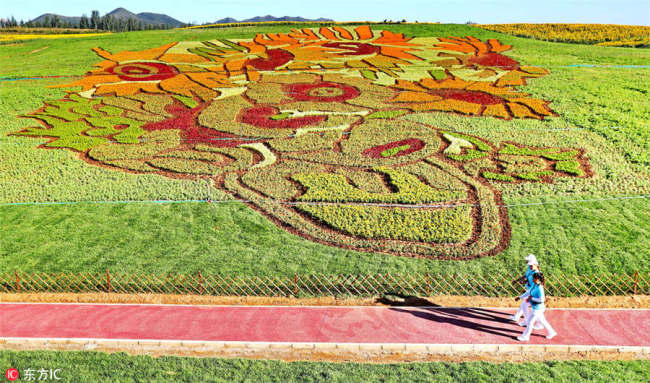 چین کے صوبہ ہیبی میں سورج مکھی کے پھول کی مناسبت سے خوبصورت آرٹ ورک 