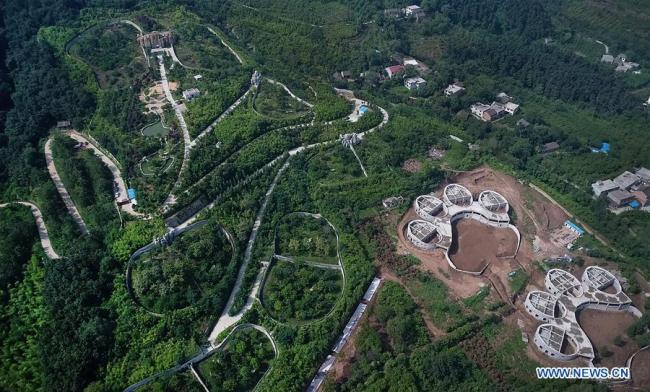  چین کا پانڈا کے لے بین الصوبائی قومی پارک کی تعمیر کا فیصلہ