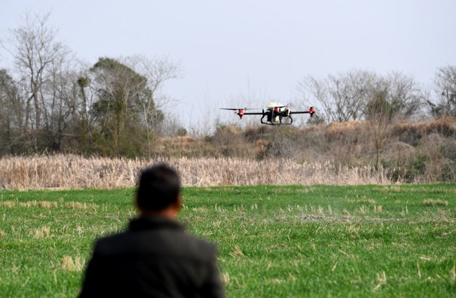 Foto: Një bujk përdor dron për të hedhur pesticide në lokalitetin Huagang të kontesë Feixi të qytetit Hefei në provincën Anhui, 23 shkurt 2021 (foto nga "Xinhua")