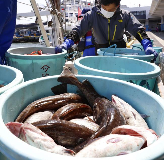 Sektori i peshkimit në Fukushima do të pësojë goditje të rëndë(Foto:VCG)