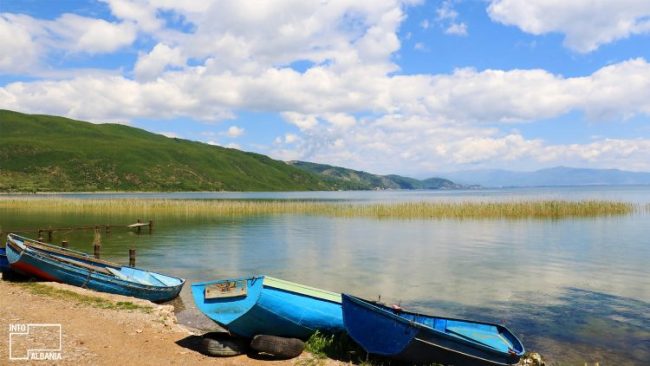Liqeni i Pogradecit (Info Albania)
