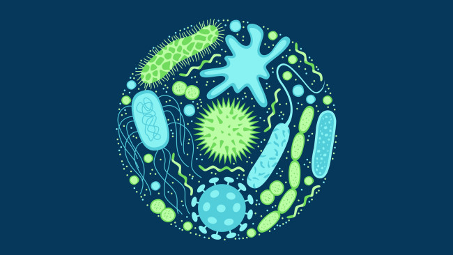 Rezistenca antimikrobike, kërcënim për shëndetin botëror