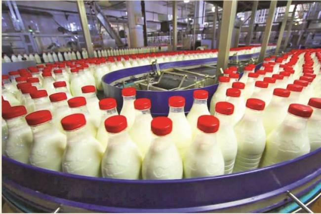Prodhime qumështi(Foto nga Telegraf)