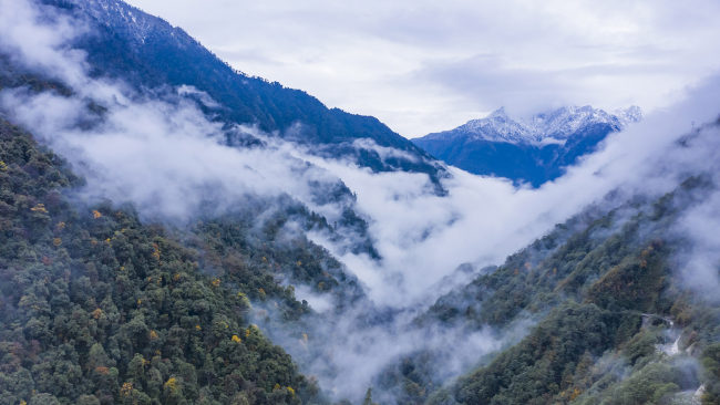 Foto: Pohoří Gaoligong (Kao-li-kung) v západočínské provincii Yunnan (Jün-nan) v jihozápadní Číně. /VCG