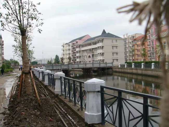 V České čtvrti v Šanghaji příkladně pečují o zasazené stromy.