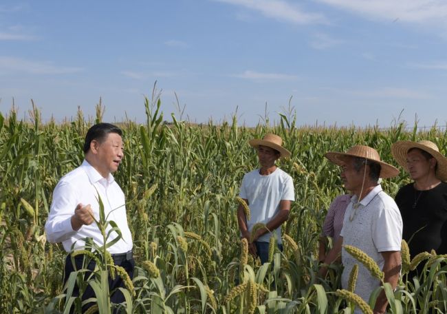 Ο Κινέζος πρόεδρος Σι Τζινπίνγκ ενώ κουβεντιάζει με αγρότες σε επίσκεψή του στο χωριό Γκαοσιγκόου στην κομητεία Μιτζί, κατά τη διάρκεια της επιθεώρησής του στην πόλη Γιουλίν στην επαρχία Σαανσί της βορειοδυτικής Κίνας, 13 Σεπτεμβρίου 2021. (φωτογραφία / Xinhua)