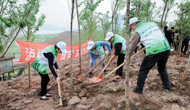 Οι κάτοικοι του Λουτζόου χρησιμοποιούν πόντους που αποκτήθηκαν μέσω της εφαρμογής Lyuya για να φυτέψουν δέντρα σε μια τοποθεσία στην πόλη. (Φωτογραφία: China Daily)