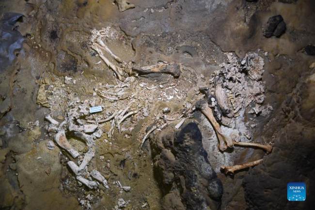 Η αχρονολόγητη φωτογραφία δείχνει ένα απολιθωμένο πάντα που βρέθηκε από ερευνητές από το Ινστιτούτο Ορεινών Πόρων της Ακαδημίας Επιστημών της επαρχίας Γκουιτζόου.