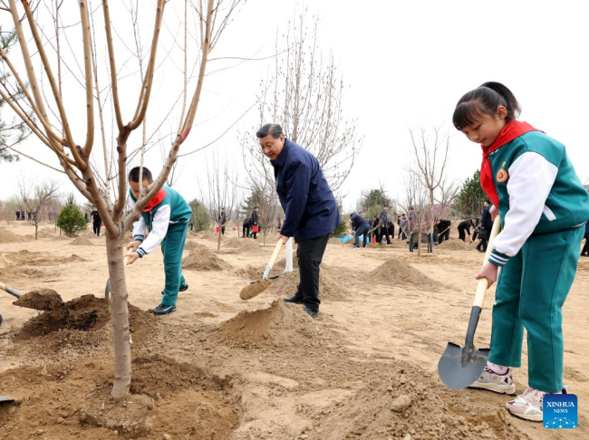 Ο Κινέζος πρόεδρος Σι Τζινπίνγκ ενώ φυτεύει ένα δέντρο κατά τη διάρκεια μιας δραστηριότητας δενδροφύτευσης στην περιοχή Ντασίνγκ του Πεκίνου, πρωτεύουσα της Κίνας, στις 30 Μαρτίου 2022. (φωτογραφία/Xinhua)