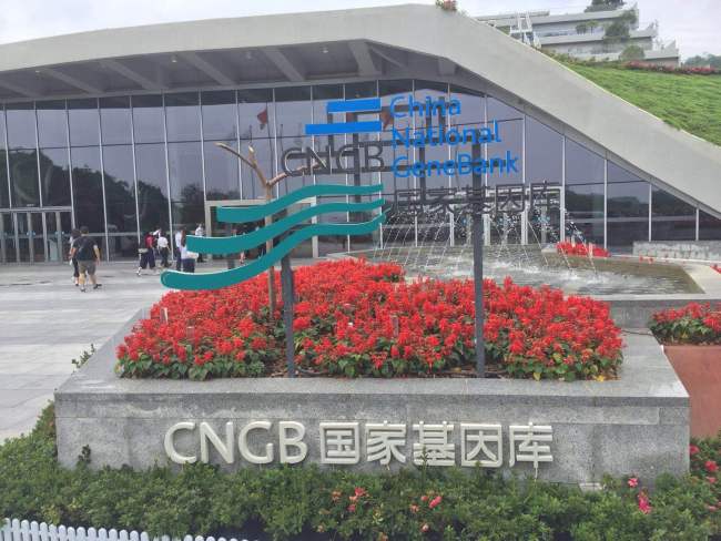 Conheça o “Banco da Vida” em Shenzhen, maior banco de genes do mundo
