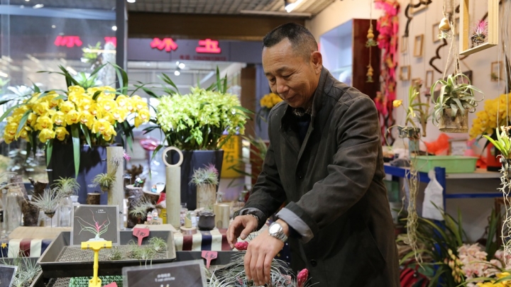 Grandes mudanças do Mercado de Flores de Dounan em 30 anos