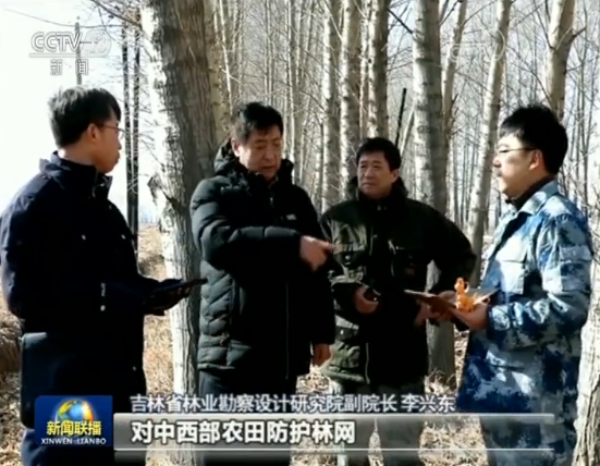 Província de Jilin procura modernizar agricultura