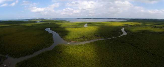 Proteção de pântano em Haikou registra progressos notáveis
