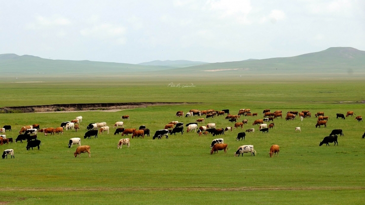 Mongólia Interior se torna região importante para abertura e desenvolvimento do norte da China