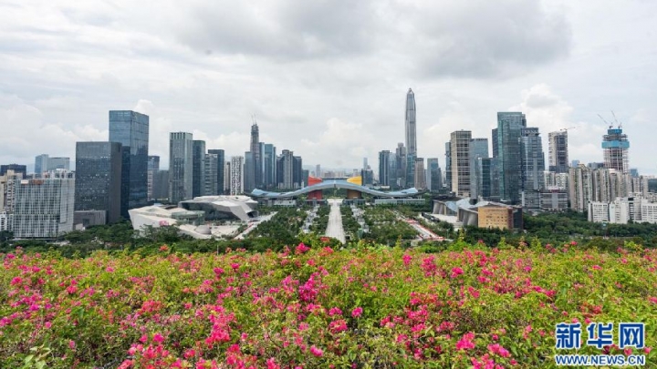 China apoia Shenzhen na construção de uma área-piloto de demonstração socialista