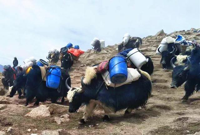 Aldeão tibetano tirou toda a aldeia da pobreza por meio do turismo