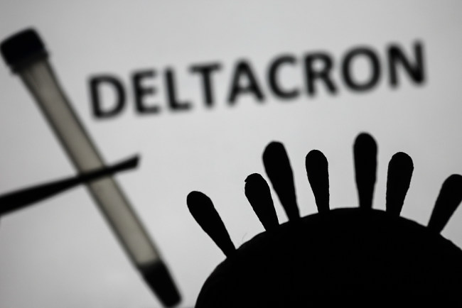 De acordo com a Organização Mundial da Saúde (OMS), a nova variante Deltacron, que foi encontrada recentemente em vários países, é uma mistura que combina características da Ômicron e da Delta.