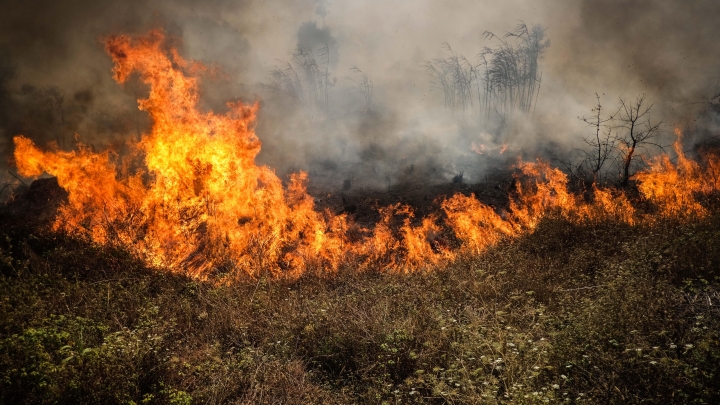Portugal anuncia estado de emergência por incêndios florestais
