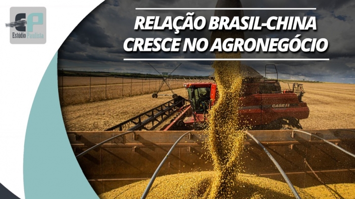 Relações comerciais no setor agrícola entre Brasil-China avançam