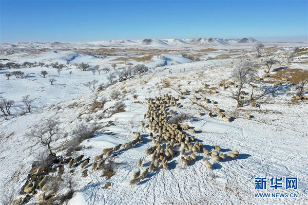 Peisaje de iarnă din Stepa Xilin Gol