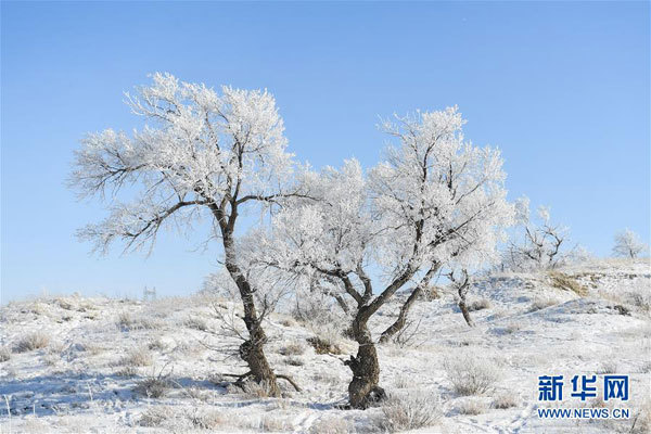 Peisaje de iarnă din Stepa Xilin Gol