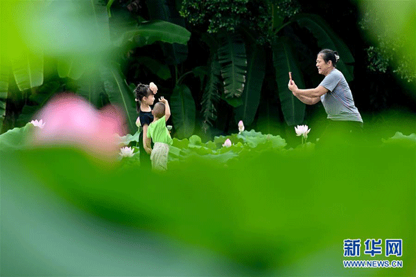 Fuzhou, sezonul florilor de lotus