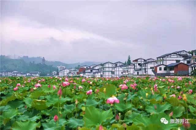 Dezvoltarea turismului cu agricultură organică din Lingqiu