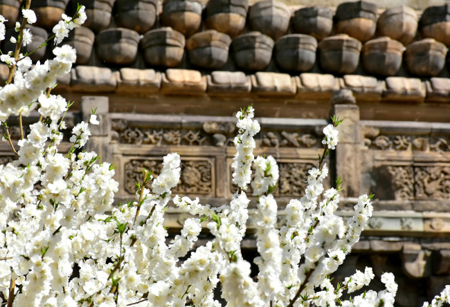 Florile de la Templul Cishou, un tablou de primăvară