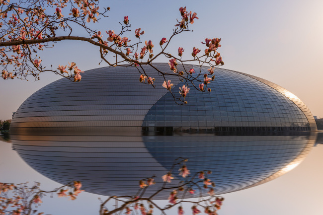 Beijing, lumea florilor