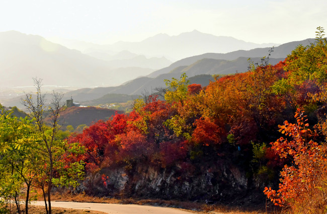 Muntele Xishan, îmbrăcat în frunze roșii