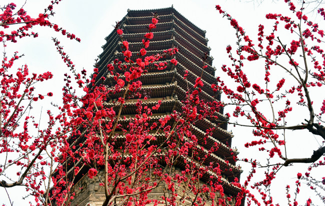 Florile de primăvară dau splendoare parcului Linglong