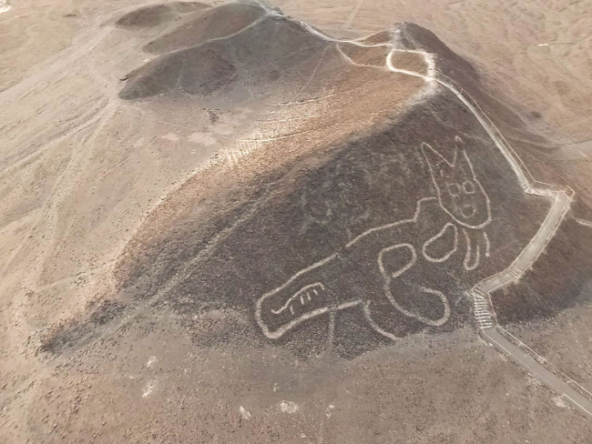Džinovska slika mačke otkrivena u Peruu