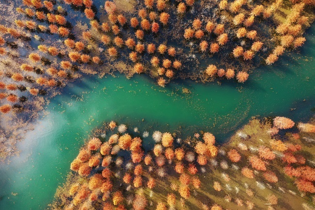 Šarena šuma na vodi u Kunmingu