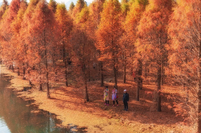 Šarena šuma na vodi u Kunmingu