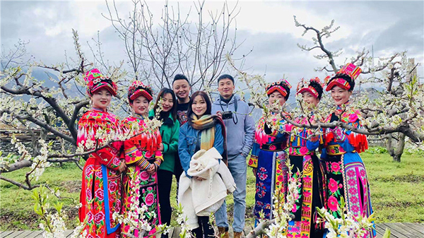 Procvetale šljive u Sičuanu
