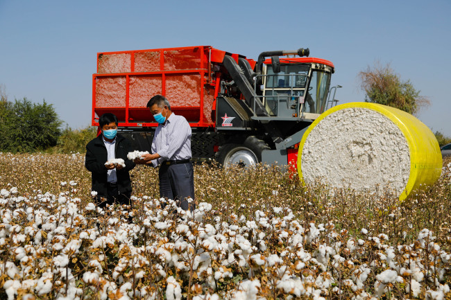 Moderne tehnologije pomoći će razvoj poljoprivrede u Sinđijangu