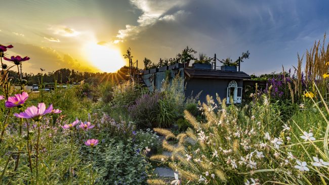 Istražite jednu od najlepših privatnih vrtova u Pekingu