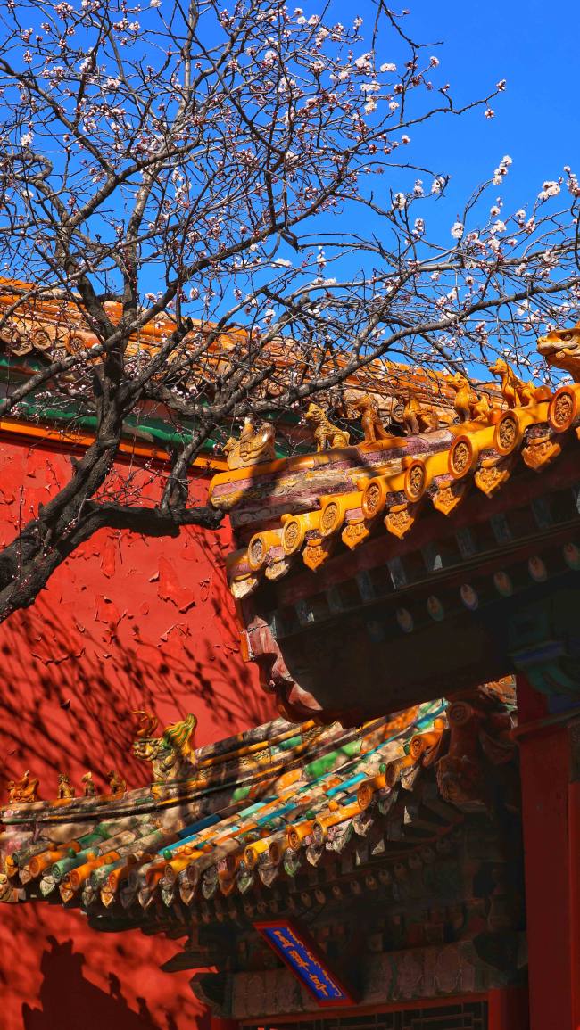 Tri mesta za uživanje u proleću i drevnoj arhitekturi u Pekingu