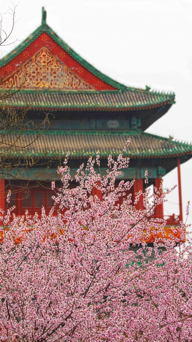 Tri mesta za uživanje u proleću i drevnoj arhitekturi u Pekingu