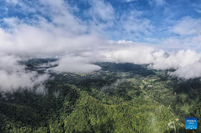 Planina Vudžišan u nacionalnom parku tropske prašume na Hainanu